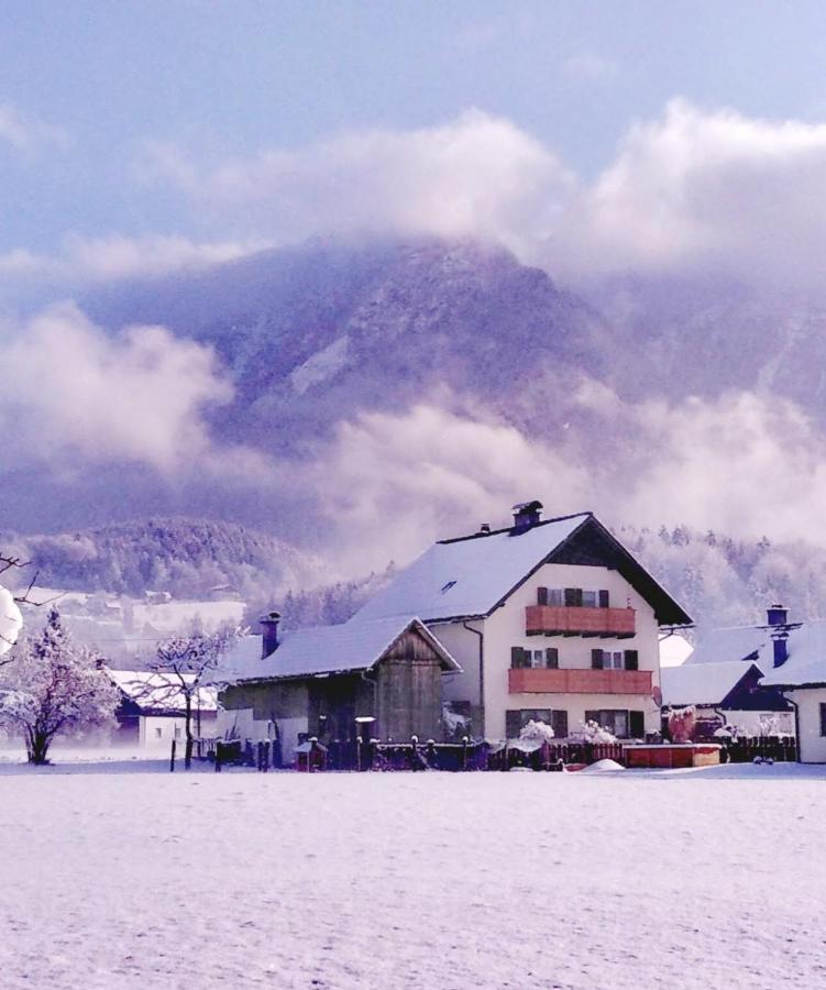 Haus Moni Apartment Bad Goisern Luaran gambar