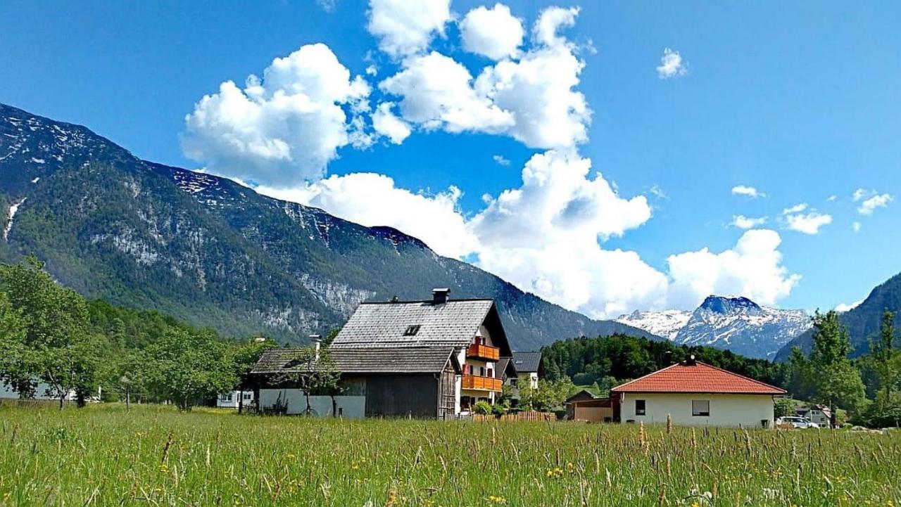 Haus Moni Apartment Bad Goisern Luaran gambar